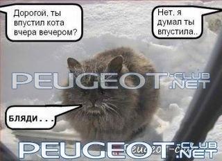 peugeot-club.net - x_31214137.jpg
