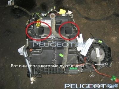 peugeot-club.net - 101093.jpg