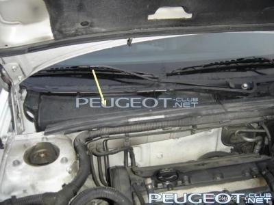 peugeot-club.net - 1.jpg