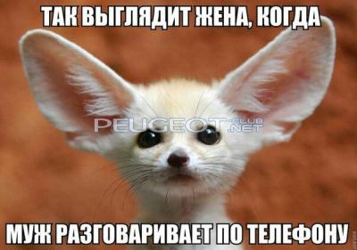 ^959DBB2113787CDDA4E663D72608F335D5C19F02012EEBDBD6^pimgpsh_fullsize_distr.jpg