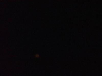 IMG_20190128_181858.jpeg