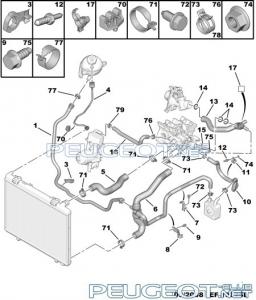 ef13e25l.jpg
