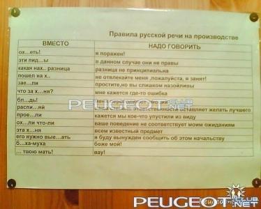 peugeot-club.net - x_7a5c44a7.jpg