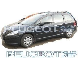 peugeot-club.net - уменьшен.jpg