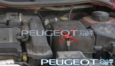 [Peugeot-Club.net] - капот.jpg