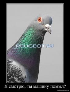 [Peugeot-Club.net] - image.jpg