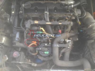[Peugeot-Club.net] - P_20150222_142322.jpg