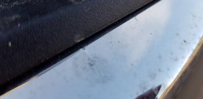 20190208_121134.jpeg