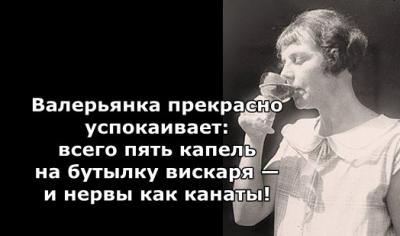 Нервы.jpg