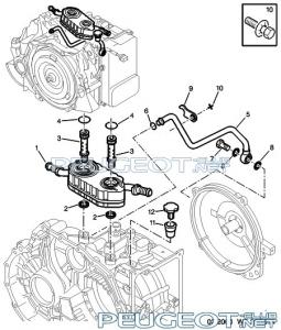 wf22g01a.jpg