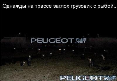 peugeot-club.net - x_75e4c0f6.jpg