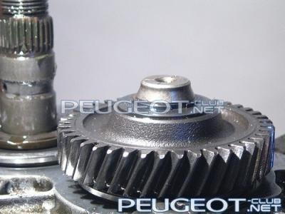 peugeot-club.net - 14.jpg