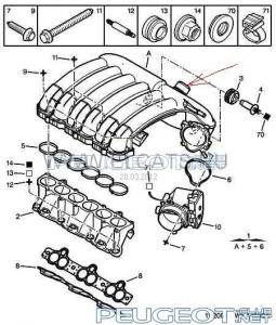 peugeot-club.net - ImageHandler.jpg