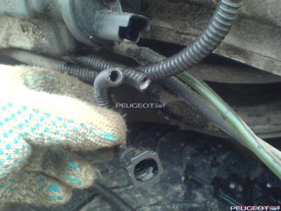 peugeot-club.net - DSC07117.JPG