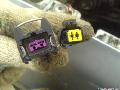 peugeot-club.net - DSC07111.JPG
