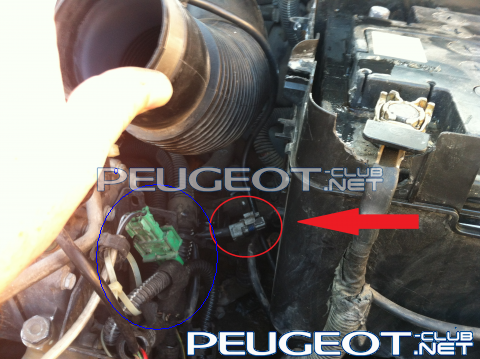Отсутствует Кусок Электрики В Моторном Отсеке - Peugeot 206 - Пежо Клуб  Россия | Peugeot Fan Club Russia