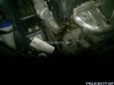 [Peugeot-Club.net] - DSC_1455.jpg