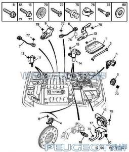 [Peugeot-Club.net] - реле.jpg