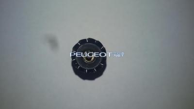 [Peugeot-Club.net] - 20150327_133914.jpg