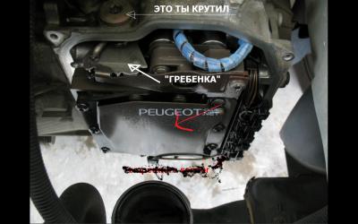 AL4_peugeot_2.JPG.JPG