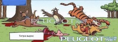 peugeot-club.net - C-_UqaYvJ9Y.jpg