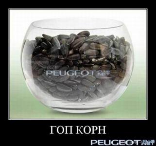 peugeot-club.net - demotivator-047.jpg