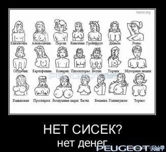 peugeot-club.net - demotivator096.jpg