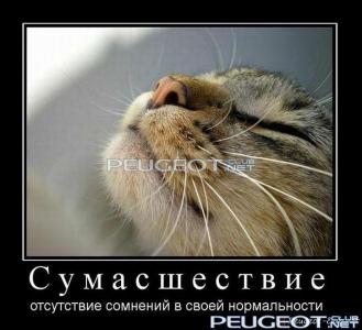 peugeot-club.net - demotivator093.jpg