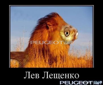peugeot-club.net - demotivator-0041.jpg