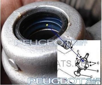 peugeot-club.net - ImageHandler1.ashx1.jpg