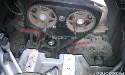 peugeot-club.net - z_cda9cef8.jpg