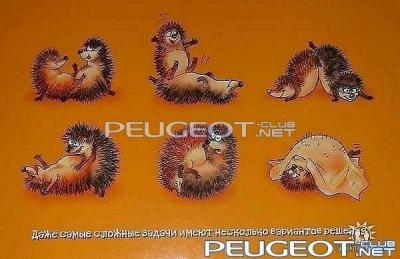[Peugeot-Club.net] - ежи.jpg