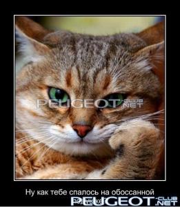 [Peugeot-Club.net] - dmtmp_img_1362920758_2543.jpg