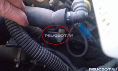 [Peugeot-Club.net] - IMAG2475.jpg