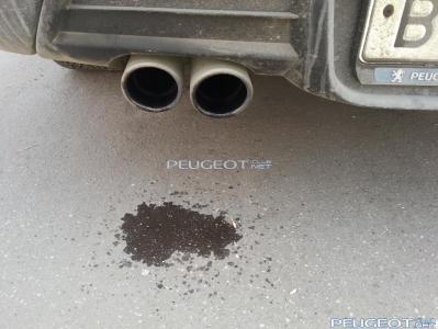 [Peugeot-Club.net] - 20140412_112720.jpg