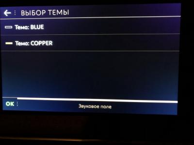 Выбор темы.jpg