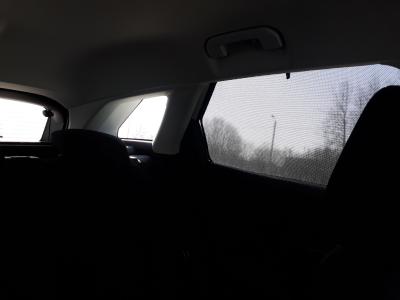 20190403_160000.jpg
