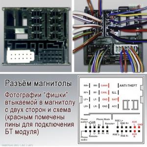 3768400.jpg