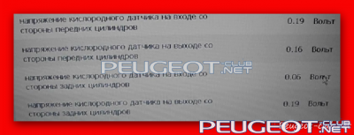 peugeot-club.net - Magical Snap - 2012.05.08 14.39 - 001.png