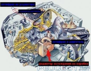 peugeot-club.net - radiatior korobki.jpg