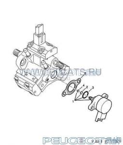 peugeot-club.net - ImageHandler.jpg