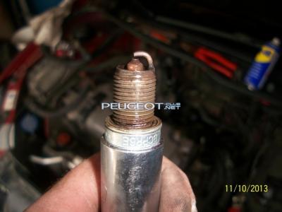 [Peugeot-Club.net] - 100_3641.JPG
