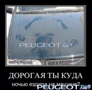 [Peugeot-Club.net] - улика))))).jpg