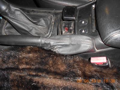 DSCN4955.JPG