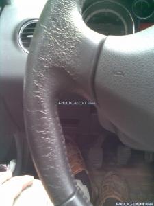 peugeot-club.net - Фото009.jpg