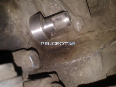 [Peugeot-Club.net] - Фото-0306-1.jpg