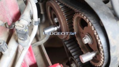 [Peugeot-Club.net] - DSC02811-1.jpg