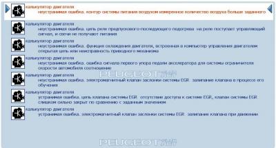 307 sw pp2000.JPG