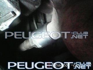 peugeot-club.net - DSC_0000117.jpg