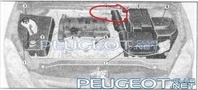 [Peugeot-Club.net] - 2.jpg